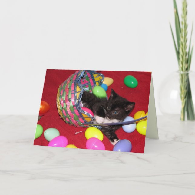 Cartes Pour Fêtes Annuelles Voeux de Pâques de Versace - Chat / Kitten (Devant)