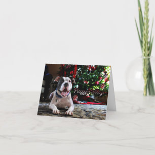 Cartes Pour Fêtes Annuelles Vœux de vacances de Bubba