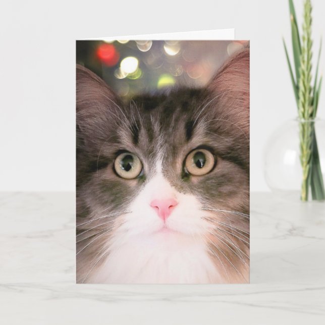 Cartes Pour Fêtes Annuelles Voeux pétillants pour Noël (Carte de Noël) (Devant)