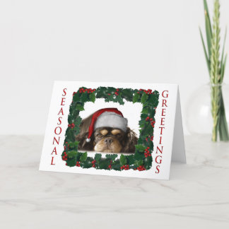 CARTES POUR FÊTES ANNUELLES VOEUX SAISONNIERS