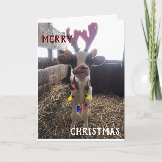 CARTES POUR FÊTES ANNUELLES VOISINS SOUHAITENT JOYER NOËL / HEUREUSE NOUVELLE  (Devant)