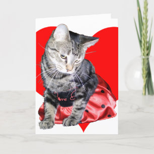 Cartes Pour Fêtes Annuelles Voiture de Saint-Valentin de "insecte d'amour" de
