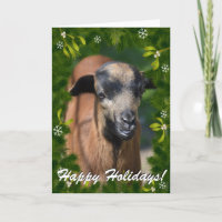 VOTRE PHOTO DE CHÈVRE dans ce cadre de Boughs et d