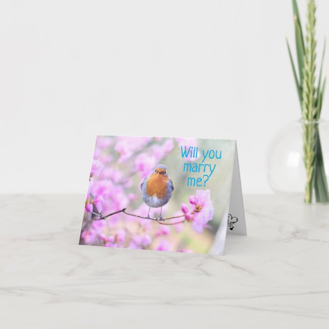 CARTES POUR FÊTES ANNUELLES **VOULEZ-VOUS ME MARIER** DIT BLUEBIRD PROPSAL CAR (Devant)