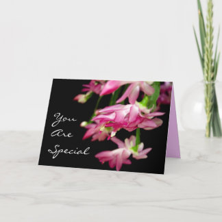Cartes Pour Fêtes Annuelles Vous êtes spéciaux