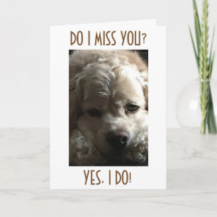 CARTES POUR FÊTES ANNUELLES VOUS MANQUEZ TOUTE L'ANNÉE, MAIS LA PLUPART À NOËL