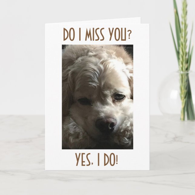 CARTES POUR FÊTES ANNUELLES VOUS MANQUEZ TOUTE L'ANNÉE, MAIS LA PLUPART À NOËL (Devant)