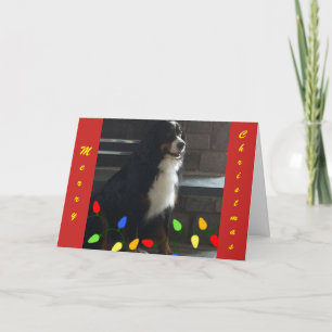 CARTES POUR FÊTES ANNUELLES **VOUS METTEZ MA VIE EN LUMIÈRE** MERCI NOËL