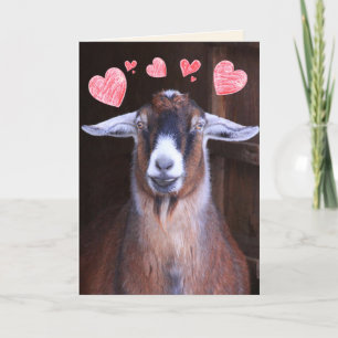 Cartes Pour Fêtes Annuelles Vous Rock My World Chèvre Valentine