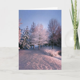 Cartes Pour Fêtes Annuelles Vous souhaitant la paix ce Noël (carte)