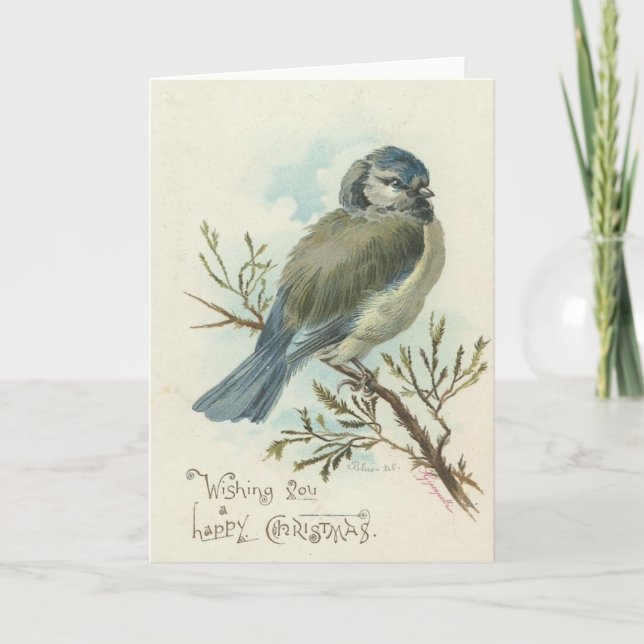 Cartes Pour Fêtes Annuelles Vous souhaitant un Joyeux Noël, oiseau bleu (Devant)