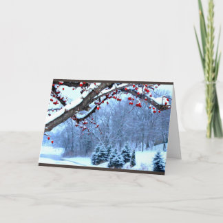 Cartes Pour Fêtes Annuelles Vous souhaitant une belle saison de Noël