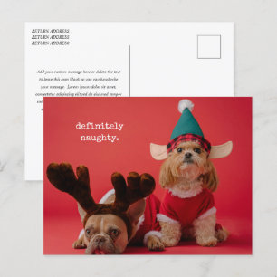 Cartes Pour Fêtes Annuelles Vraiment Naughty Pet Photo Mignonne Noël
