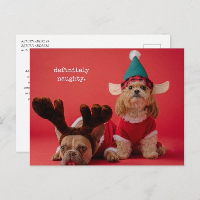 Cartes Pour Fêtes Annuelles Vraiment Naughty Pet Photo Mignonne Noël (Devant / Derrière)