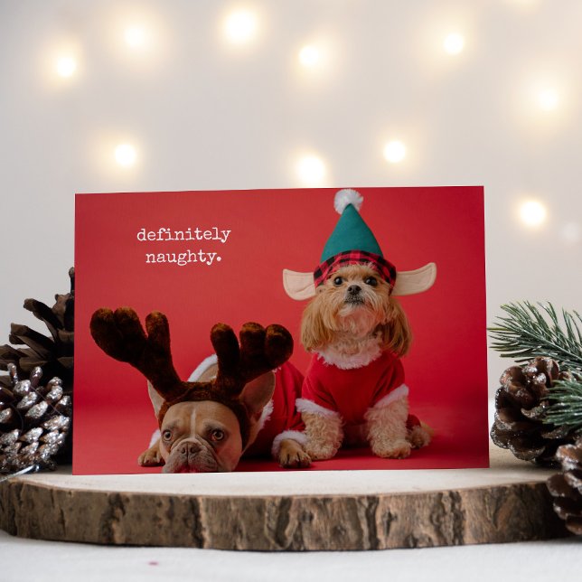 Cartes Pour Fêtes Annuelles Vraiment Naughty Pet Photo Mignonne Noël (Créateur téléchargé)