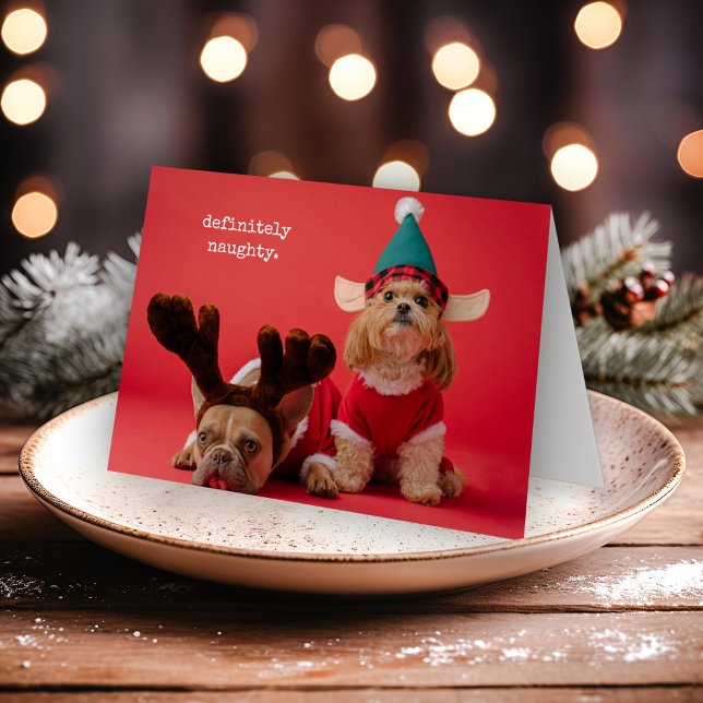 Cartes Pour Fêtes Annuelles Vraiment Naughty Pet Photo Mignonne Noël (Créateur téléchargé)