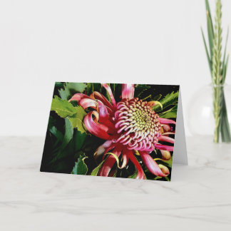 Cartes Pour Fêtes Annuelles waratah rouge