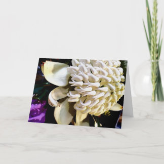 Cartes Pour Fêtes Annuelles warratah blanc