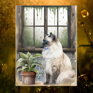 Cartes Pour Fêtes Annuelles Watercolor Blue Eyed Cat lors d'une journée pluvie