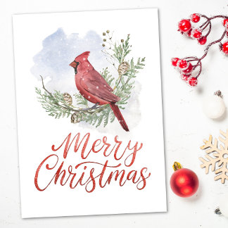 Cartes Pour Fêtes Annuelles Watercolor Cardinal Conifers Snow Christmas