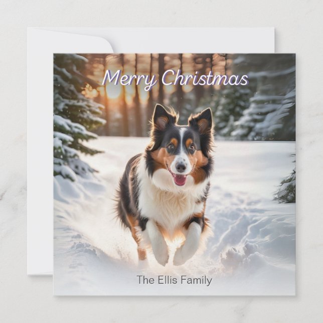 Cartes Pour Fêtes Annuelles Welsh Collie Chien Aquarelle de neige Joyeux Noël (Devant)