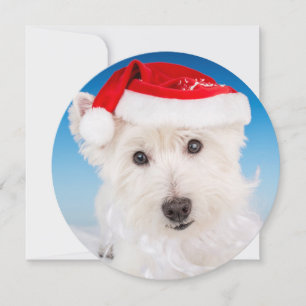 Cartes Pour Fêtes Annuelles Westie avec Santa Hat et la barbe