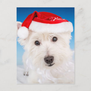 Cartes Pour Fêtes Annuelles Westie avec Santa Hat et la barbe