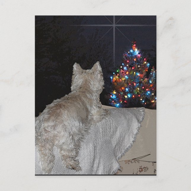 CARTES POUR FÊTES ANNUELLES WESTIE CHRISTMAS AWE (Devant)
