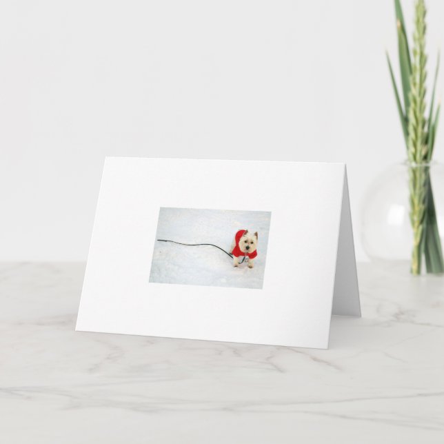 Cartes Pour Fêtes Annuelles Westie dans la neige (Devant)