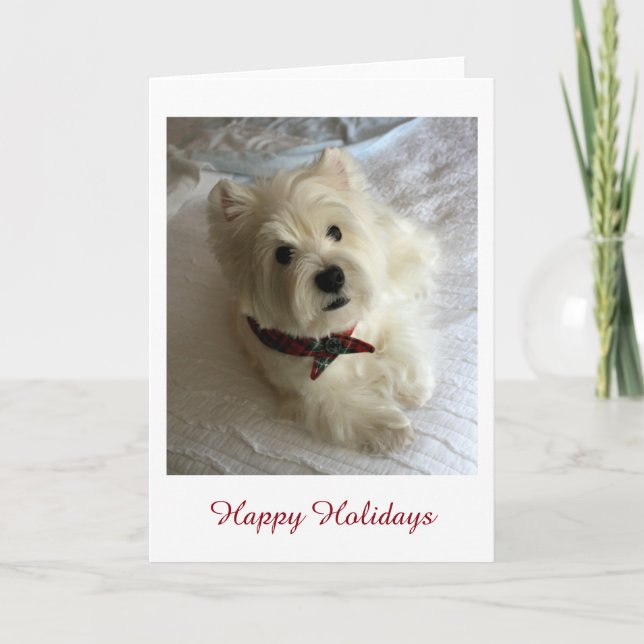 Cartes Pour Fêtes Annuelles Westie Holiday (Devant)