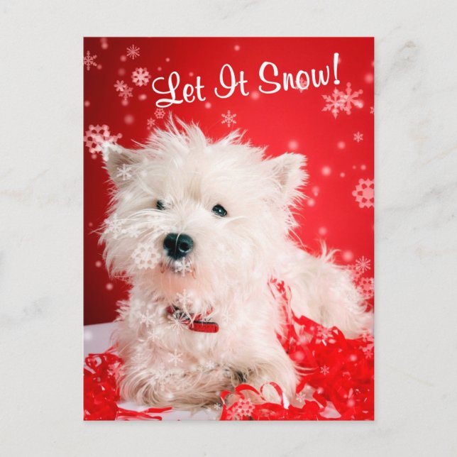 Cartes Pour Fêtes Annuelles Westie Laisser Neige Salutation #2 (Devant)