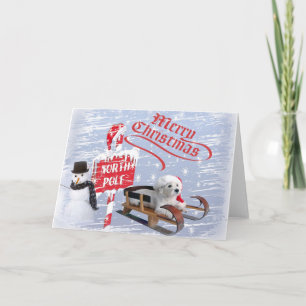 Cartes Pour Fêtes Annuelles Westie @ Le Pôle Nord
