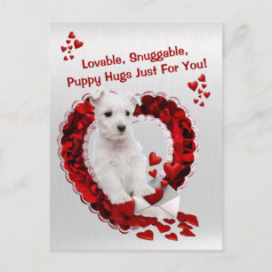Cartes Pour Fêtes Annuelles Westie Lovable Puppy Hugs Valentine