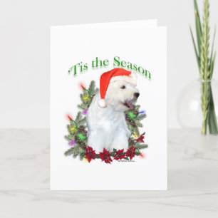 Cartes Pour Fêtes Annuelles Westie 'Tis the Season'