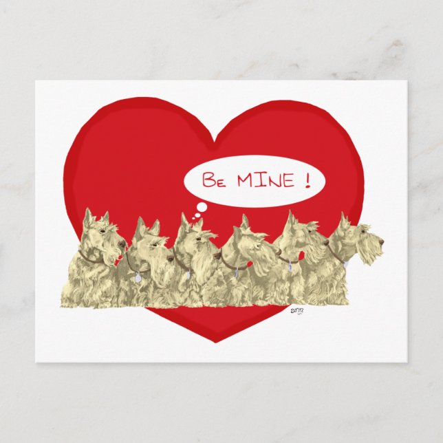 Cartes Pour Fêtes Annuelles Wheaten Scotties Valentine (Devant)