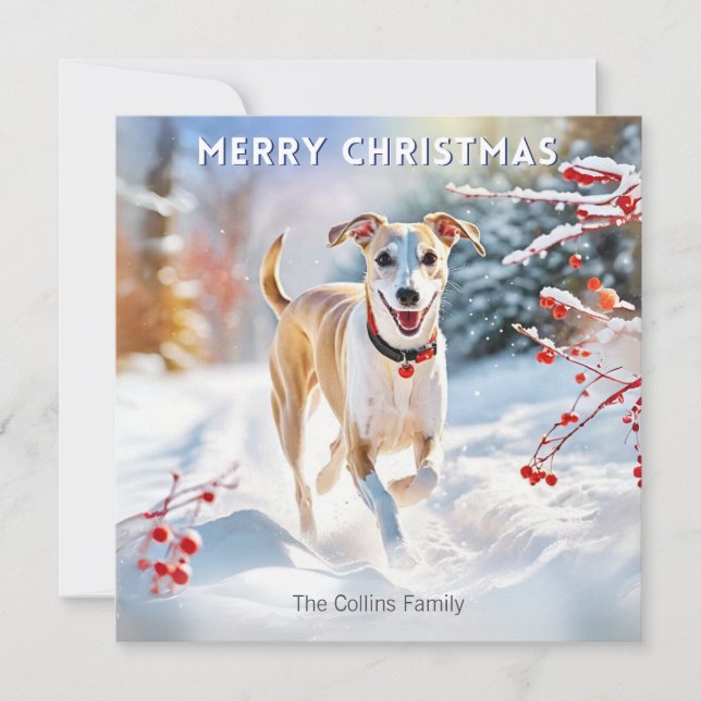 Cartes Pour Fêtes Annuelles Whippet Chien Marcher Dans Neige Hiver Joyeux Noël (Devant)