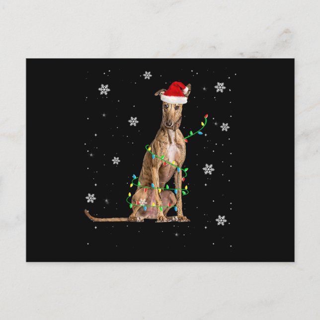 Cartes Pour Fêtes Annuelles Whippet Christmas Light mignet Père Noël Whippet X (Devant)
