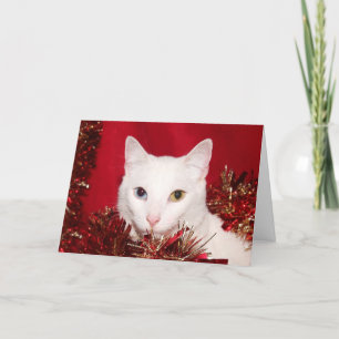 Cartes Pour Fêtes Annuelles White cat