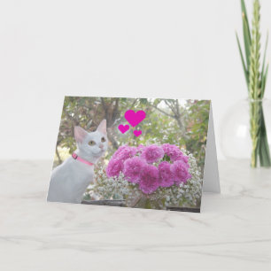 Cartes Pour Fêtes Annuelles White Kitten and Pink Carnations Valentine