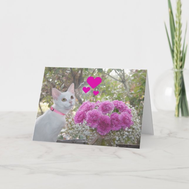 Cartes Pour Fêtes Annuelles White Kitten and Pink Carnations Valentine (Devant)