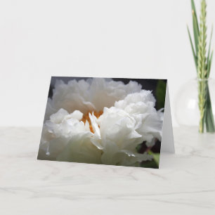 Cartes Pour Fêtes Annuelles White Peony 1 Floral Photography Salutation C
