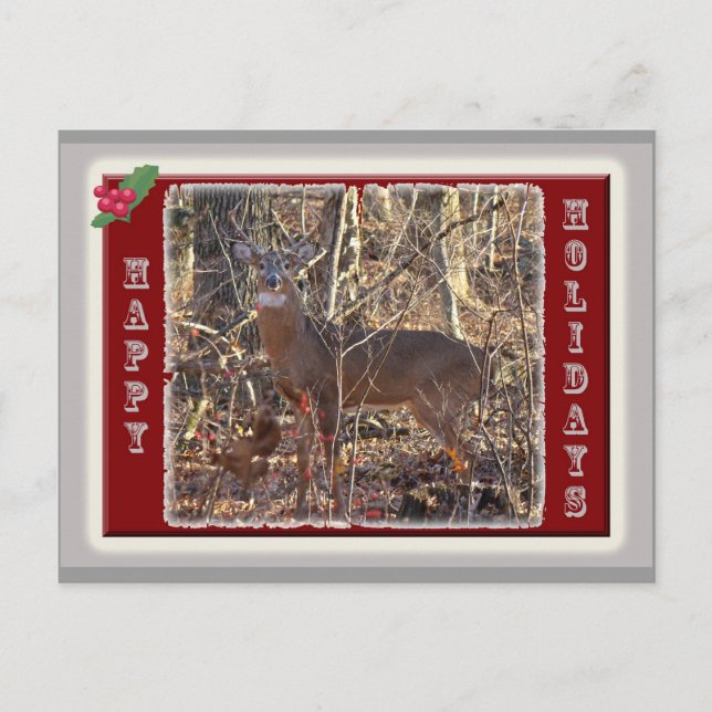 Cartes Pour Fêtes Annuelles Whitetail Deer Happy Holidays Items (Devant)