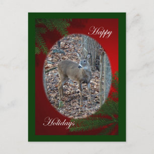 Cartes Pour Fêtes Annuelles Whitetail Deer Spike Buck Happy Holidays Series