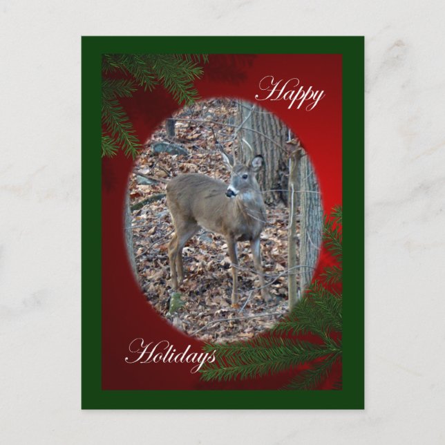 Cartes Pour Fêtes Annuelles Whitetail Deer Spike Buck Happy Holidays Series (Devant)