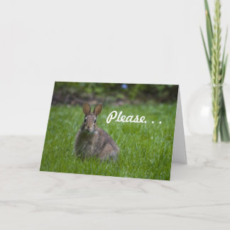Cartes Pour Fêtes Annuelles Wild Bunny Valentine