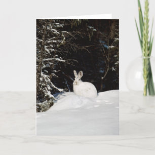 Cartes Pour Fêtes Annuelles Wild Rabbit