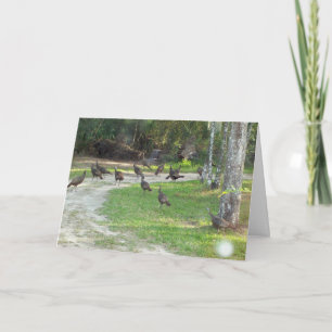 Cartes Pour Fêtes Annuelles Wild Turkey