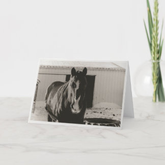 Cartes Pour Fêtes Annuelles Willy