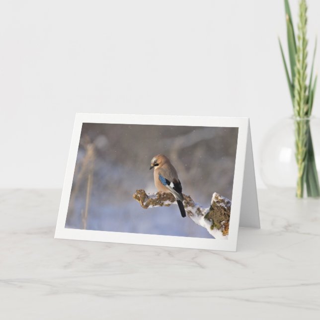 Cartes Pour Fêtes Annuelles Winter Bird Greeting Card (Devant)