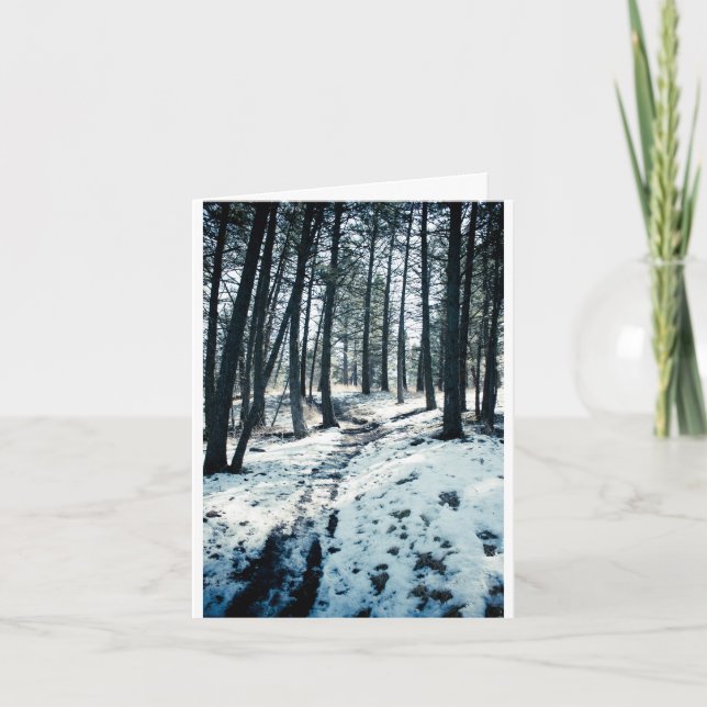 Cartes Pour Fêtes Annuelles Winter Path Christmas card (Devant)